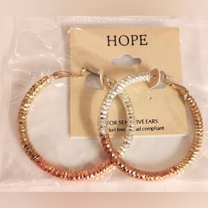 Gold and Silver Hoop Earrings